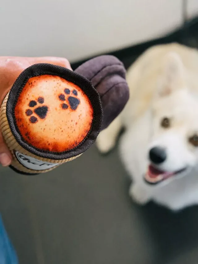 Peluche - Café pour chien – Image 3
