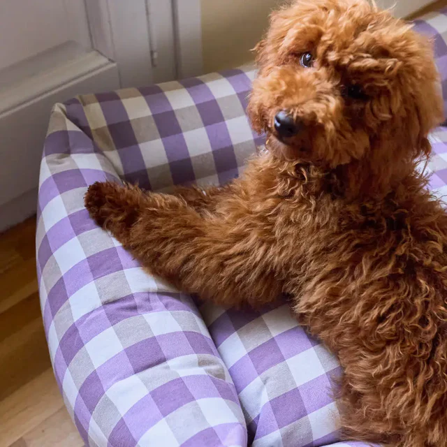 Canapé vichy violet pour chien – Image 3