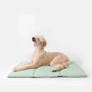 Tapis de voyage menthe pour chien