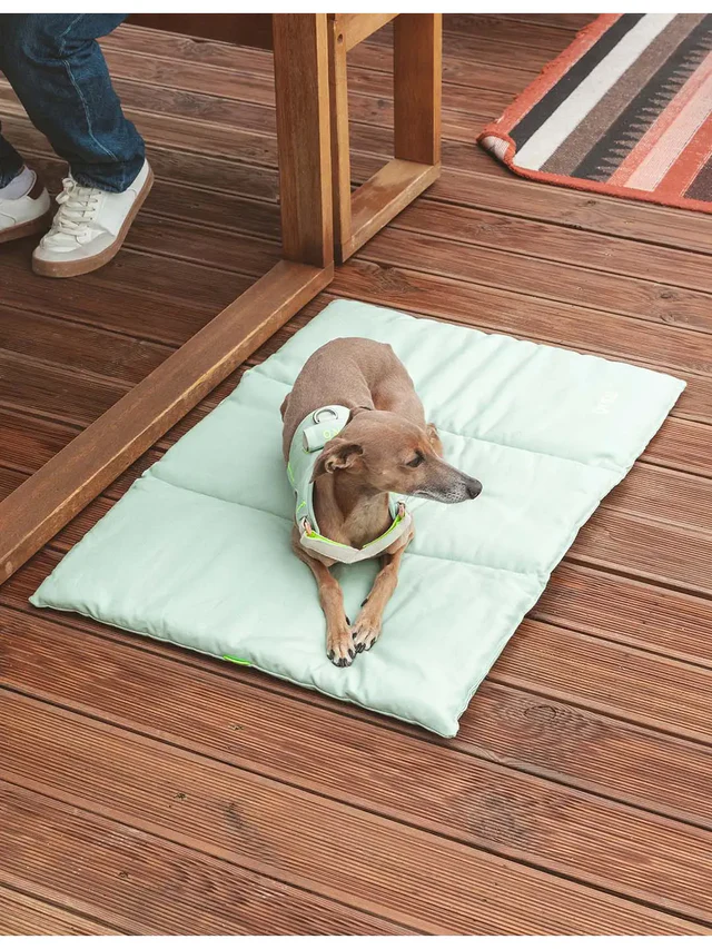 Tapis de voyage menthe pour chien – Image 3
